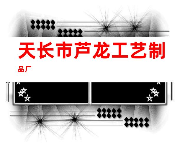 天长市芦龙工艺制品厂